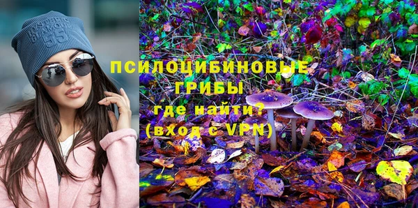 Альфа ПВП Пересвет