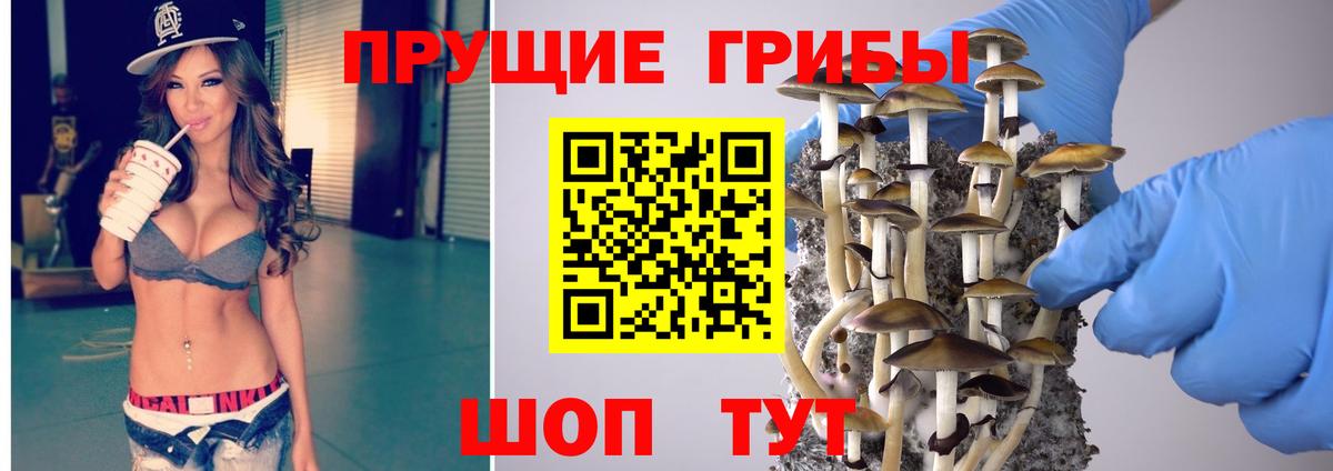 Псилоцибиновые грибы GOLDEN TEACHER Саки