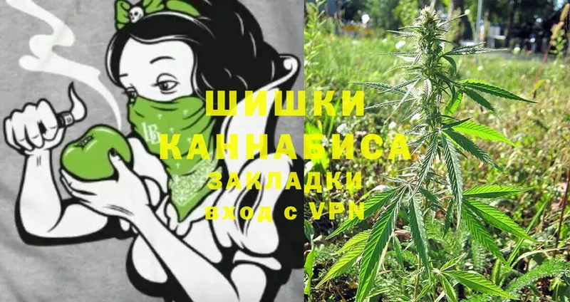 купить наркотик  Саки  Бошки марихуана OG Kush 